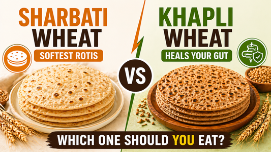 sharbati vs khapli wheat