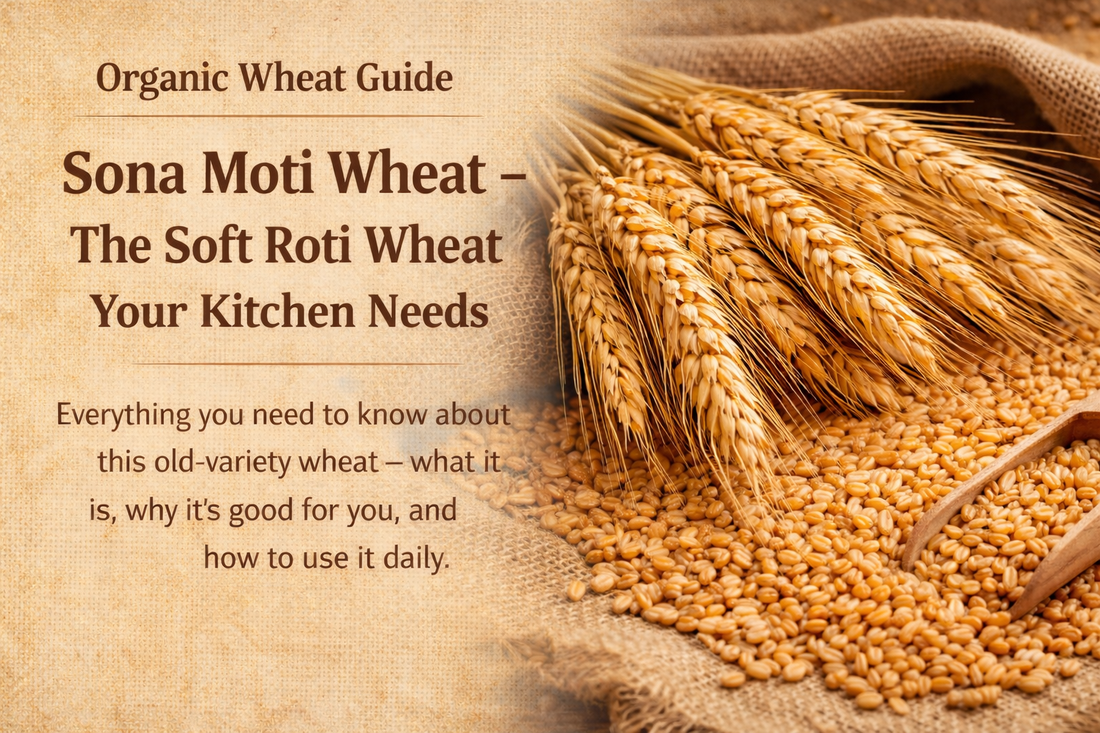 Sona Moti Wheat: Benefits, Nutrition, Uses & Why It’s Better Than Regular Atta