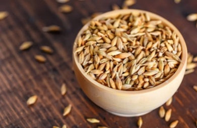 Barley