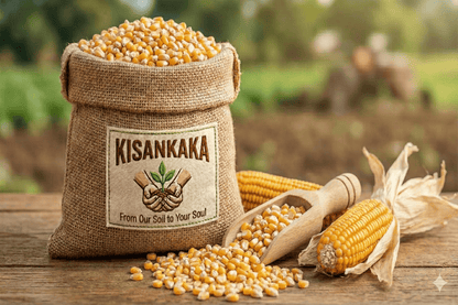 Premium Makka - Maize Flour