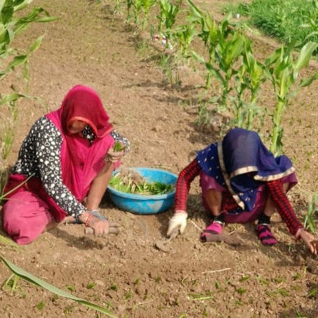 KisanKaka Community Farming Sehore MP
