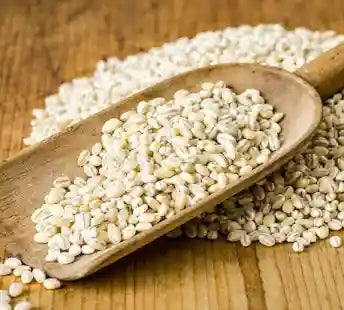 White Pearl Barley Seeds