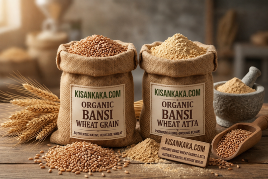 Organic Bansi Wheat (Grains & Atta)