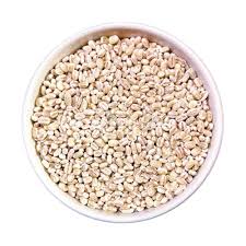 White Pearl Barley Seeds