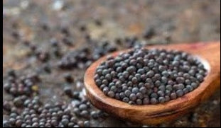 Wooden spoon filled with black mustard seeds on a rustic background